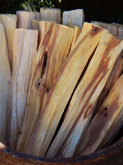 Palo Santo Sacred Wood Incense Sticks
