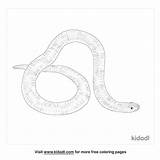 Free African Garter Snake Coloring Page  Printables Kidadl sketch template