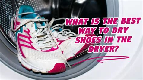 Can You Dry Shoes In The Dryer? Smart Way You Can Follow - Shoe Filter