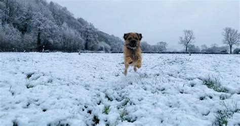 Will it snow where you live in Wales and how cold it's going to be - Wales Online