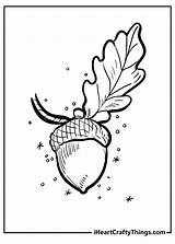 Acorn Coloring Pages sketch template