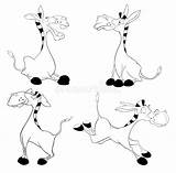 A Set Of Burros Coloring Book Stock Vector  Illustration book sketch template