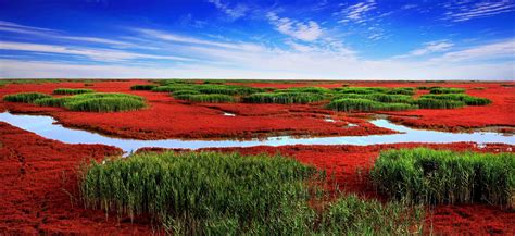 Red Beach, Panjin, Liaoning, China - Heroes Of Adventure