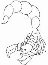 Free Printable Scorpion Coloring Pages For Kids sketch template