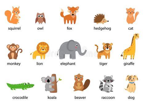 Set of Cute Cartoon Animals with Names. Vector Illustrations. Stock Vector - Illustration of ...