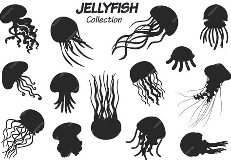 Premium Vector | Jellyfish silhouette collection