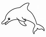 Simple Dolphin coloring Page  Download Print Or Color Online For Free sketch template