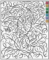 Nicoles Free Coloring Pages COLOR BY NUMBER NEW COLORING PAGE  sketch template