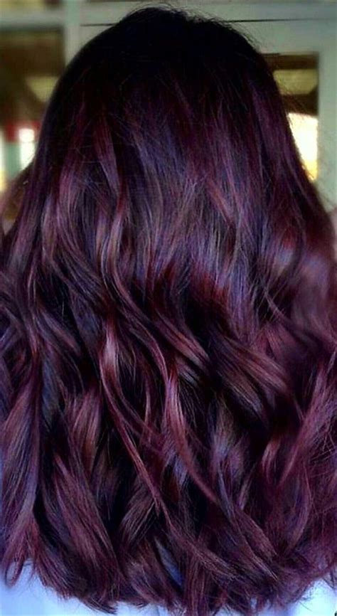 Maroon Purple Hair Dye