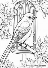 Black Canary Coloring Pages For Kids sketch template