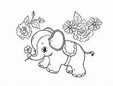 5 Elephant Coloring Pages  The Graphics Fairy sketch template