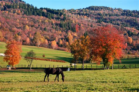 Your Fall Horse Farm To-Do Guide - Lighthoof