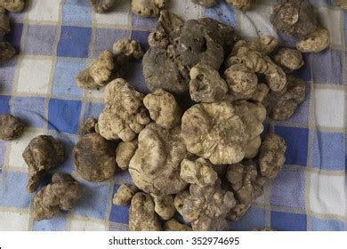 632 Alba white truffle Images, Stock Photos & Vectors | Shutterstock