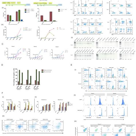 FigureS2. Multiplex gene editing mediated by CRISPR-Cas9 in CAR-T... | Download Scientific Diagram