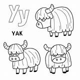 Premium Vector  Alphabet Animal yak Set For coloring With Word Hand sketch template