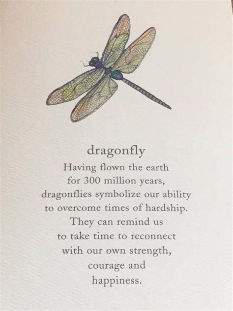 Dragonfly in amber – Artofit