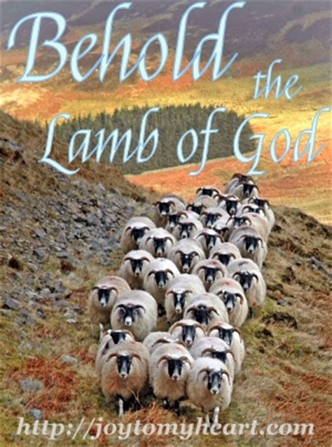 Behold the Lamb of God. God's plan of redemption for the whole world.