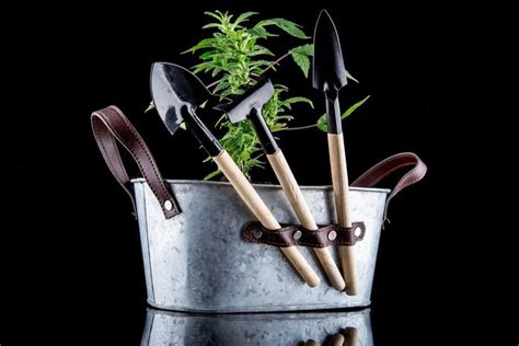 Popular Marijuana Grow Kits | Leafbuyer