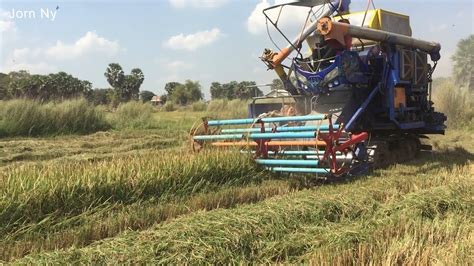 Large scale rice harvesting machine,ម៉ាសុីនច្រូតស្រូវសេះហោះ - YouTube