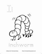 Inch Worm Coloring Coloring Pages sketch template
