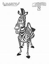 Marty Of Madagascar In zebra coloring Page – Artofit sketch template