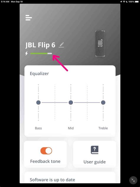 JBL Flip 6 Battery Indicator - Tom's Tek Stop