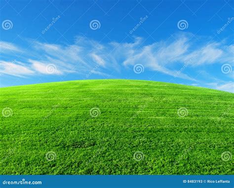 Grassy knoll stock image. Image of turf, knoll, hill, grass - 8483193