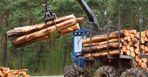 Forestry Equipment 101: Tools of the Trade for Modern Forestry