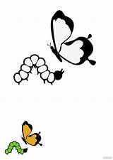 Caterpillar Butterfly Coloring Page In PDF  Download Templatenet sketch template