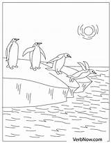 Free PENGUINS Coloring Pages For Download Printable PDF  VerbNow sketch template