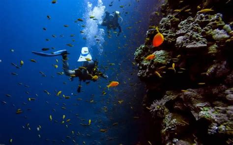 Is Scuba Diving Hard? (+7 Tips to Make It Easier to Learn)