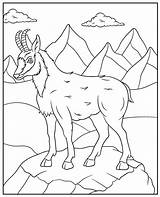 Goat Coloring sketch template