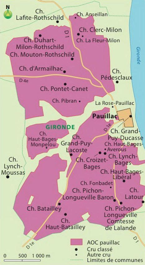 pauillac map | Wine map, Wine chart, French wine