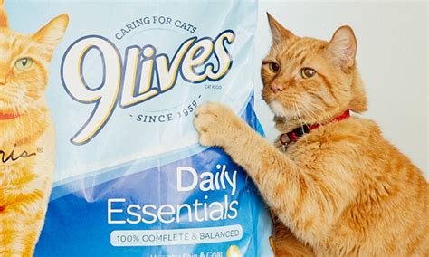 Dry Cat Food | 9Lives®