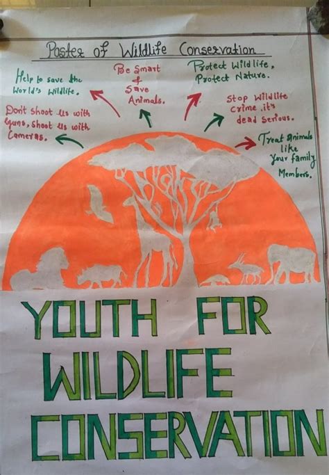 Poster of wildlife conservation – India NCC