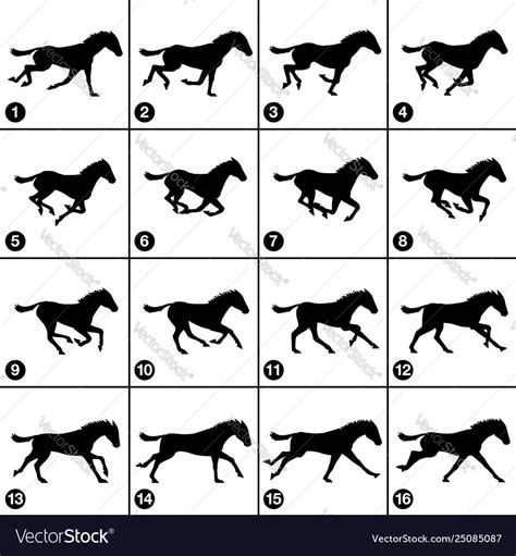 Horse gallop sequence 16 frames Royalty Free Vector Image