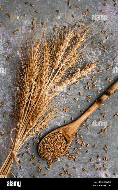 wheat, staple food, wheats, staple foods Stock Photo - Alamy