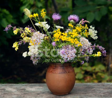 Autumn Wildflowers Bouquet Stock Photo | Royalty-Free | FreeImages