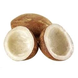 Dry Coconut (Copra) | Kevin Exporter