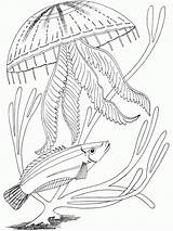 Ocean Coloring Pages sketch template