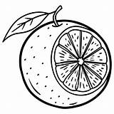 Grapefruit Black And White Clipart Vector Sketch  sketch template