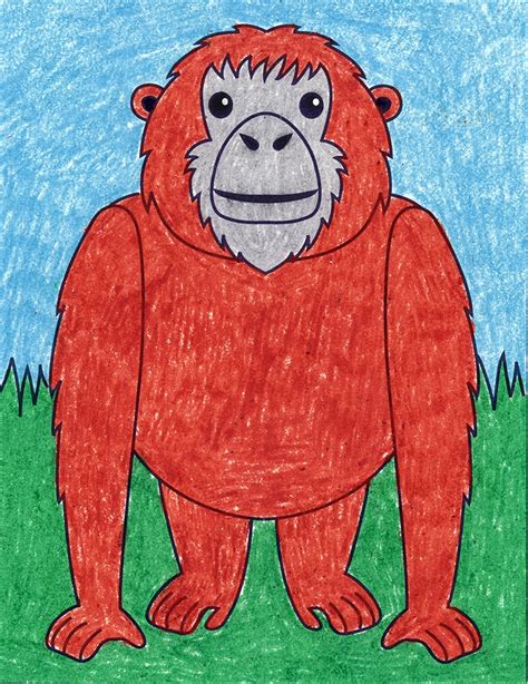 How to Draw an Orangutan · Art Projects for Kids