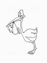 Storks Coloring Pages sketch template