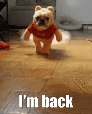 IAm Back Dog GIF - IAmBack Back Dog - Discover & Share GIFs