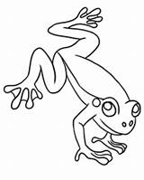 Free Printable Frog Coloring Pages For Kids sketch template