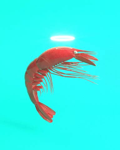 a large red shrimp floating on top of a blue water filled ocean next to a light