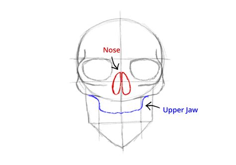 How to Draw a Skull | Design School