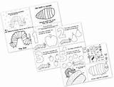 Very Hungry Caterpillar Coloring Pages sketch template