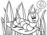 Butterfly Life Cycle Coloring Pages Keeping Your Kids Get An  sketch template