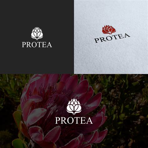 PROTEA logo--supporting programming to prevent and treat addiction | Logo design contest